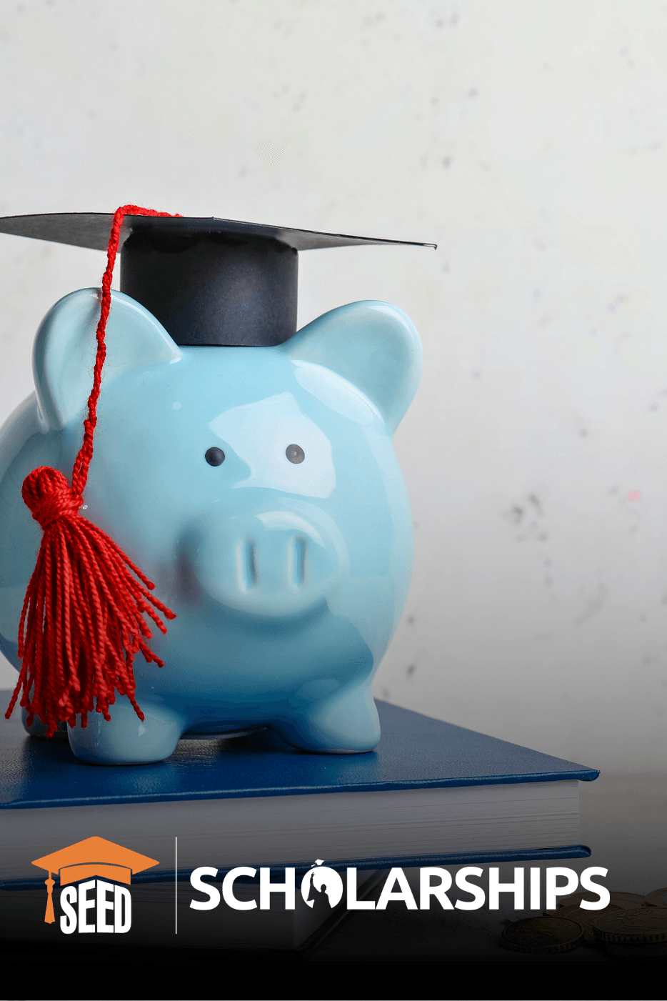 Scholarships Program